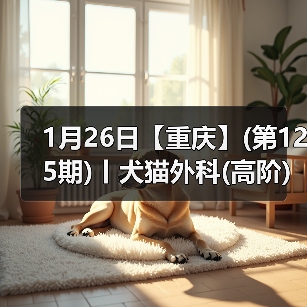 犬猫外科高阶实操班｜SUB技术与复杂手术掌握全攻略(图3)