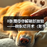 8张图带你解锁新技能——膀胱切开术(附手术视频)(图4) 膀胱切开术操作流程图解|手术核心技巧全攻略(图4)