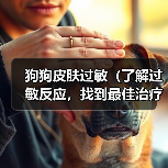 狗狗皮肤过敏治疗全攻略｜科学应对有效缓解(图3)