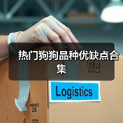 热门狗狗品种优缺点分析｜新手养狗必备指南