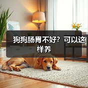 狗狗肠胃不好?可以这样养(图2) 狗狗肠胃不好怎么养|科学调理全攻略(图2)