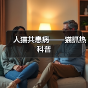 猫抓热症状与预防指南｜人猫共患病科普全解析