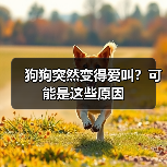 狗狗突然爱叫的原因及解决方法｜实用指南(图3)