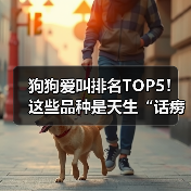 狗狗爱叫排名TOP5!这些品种是天生“话痨”(图2) 狗狗爱叫排名TOP5品种|养狗必备知识(图2)