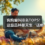 狗狗爱叫排名TOP5!这些品种是天生“话痨”(图4) 狗狗爱叫排名TOP5品种|养狗必备知识(图4)