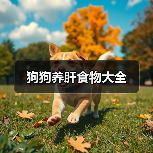 狗狗养肝食物大全(图2) 狗狗养肝食物推荐|护肝饮食全攻略(图2)