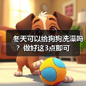冬天可以给狗狗洗澡吗?做好这3点即可(图2) 冬天给狗狗洗澡注意事项|正确方法全攻略(图2)