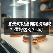 冬天给狗狗洗澡注意事项｜正确方法全攻略