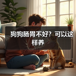 狗狗肠胃不好?可以这样养(图1) 狗狗肠胃不好怎么养|科学调理全攻略(图1)