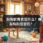 狗狗软骨素作用及适用对象｜科学补充指南