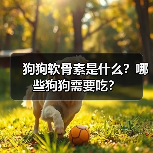 狗狗软骨素作用及适用对象｜科学补充指南(图3)