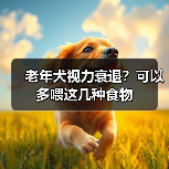 老年犬视力衰退?可以多喂这几种食物(图2) 老年犬视力衰退如何改善|护眼食物全攻略(图2)