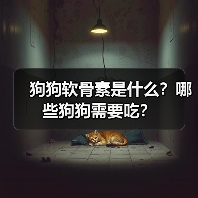 狗狗软骨素作用及适用对象｜科学补充指南(图4)