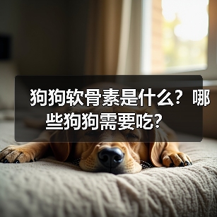 狗狗软骨素作用及适用对象｜科学补充指南(图2)