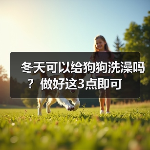 冬天可以给狗狗洗澡吗?做好这3点即可(图4) 冬天给狗狗洗澡注意事项|正确方法全攻略(图4)