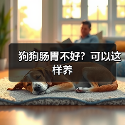 狗狗肠胃不好?可以这样养(图3) 狗狗肠胃不好怎么养|科学调理全攻略(图3)