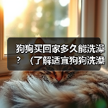 狗狗买回家多久能洗澡?(了解适宜狗狗洗澡的时间和方法)(图2) 狗狗买回家多久能洗澡|新手养狗必备指南(图2)