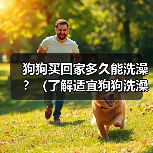 狗狗买回家多久能洗澡?(了解适宜狗狗洗澡的时间和方法)(图4) 狗狗买回家多久能洗澡|新手养狗必备指南(图4)