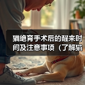 猫绝育手术后的醒来时间及注意事项(了解猫绝育手术后的恢复过程,确保宠物的健康和安全)(图4) 猫绝育术后醒来时间与护理要点|全面指南(图4)
