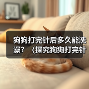 狗狗打完针后多久能洗澡?(探究狗狗打完针后洗澡的最佳时间和注意事项)(图1) 狗狗打完针后洗澡注意事项|最佳时间全攻略(图1)