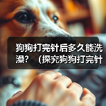 狗狗打完针后多久能洗澡?(探究狗狗打完针后洗澡的最佳时间和注意事项)(图4) 狗狗打完针后洗澡注意事项|最佳时间全攻略(图4)