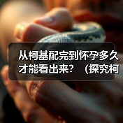 从柯基配完到怀孕多久才能看出来?(探究柯基繁殖的时间节点和迹象)(图4) 柯基配种后怀孕迹象与时间解析|繁殖全攻略(图4)