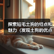 短毛土狗特点与魅力｜养狗全攻略