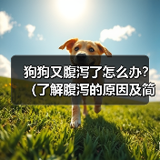 狗狗腹泻怎么办？原因及应对方法全攻略