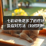 七彩幼鱼吃多了的症状及应对方法(如何判断七彩幼鱼吃多了?如何处理这种情况?)(图2) 七彩幼鱼吃多了症状与处理方法|科学喂养指南(图2)