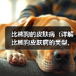 比熊狗的皮肤病(详解比熊狗皮肤病的类型、预防措施及护理要点)(图4) 比熊狗皮肤病类型预防护理全攻略(图4)