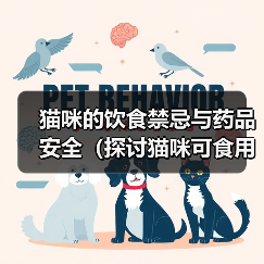 猫咪饮食禁忌与药品安全指南