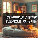 七彩幼鱼吃多了的症状及应对方法(如何判断七彩幼鱼吃多了?如何处理这种情况?)(图3) 七彩幼鱼吃多了症状与处理方法|科学喂养指南(图3)