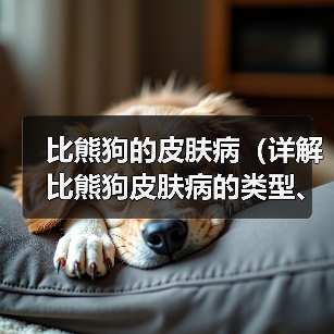 比熊狗皮肤病类型预防护理全攻略