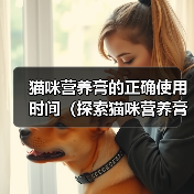 猫咪营养膏使用时机解析｜最佳服用周期全攻略