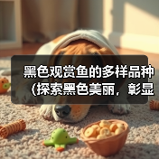 黑色观赏鱼的多样品种(探索黑色美丽,彰显独特魅力)(图2) 黑色观赏鱼品种全攻略(图2)