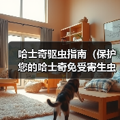 哈士奇驱虫指南全攻略(图4)