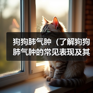 狗狗肺气肿(了解狗狗肺气肿的常见表现及其处理方法)(图2) 狗狗肺气肿全攻略(图2)