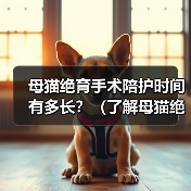 母猫绝育手术陪护时间有多长?(了解母猫绝育手术的陪护需求及时间安排)(图4) 母猫绝育手术陪护全攻略(图4)