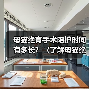 母猫绝育手术陪护时间有多长?(了解母猫绝育手术的陪护需求及时间安排)(图3) 母猫绝育手术陪护全攻略(图3)