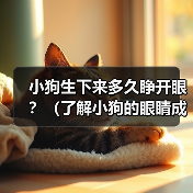 小狗生下来多久睁开眼?(了解小狗的眼睛成长周期)(图4) 小狗生下来多久睁开眼全攻略(图4)