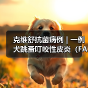 犬跳蚤叮咬皮炎诊断治疗全攻略