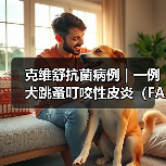 克维舒抗菌病例 | 一例犬跳蚤叮咬性皮炎(FAD)的病例分析(图4) 犬跳蚤叮咬皮炎诊断治疗全攻略(图4)