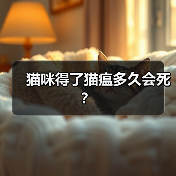 猫咪得了猫瘟多久会死?(图2) 猫瘟热猫咪死亡时间及救治指南(图2)