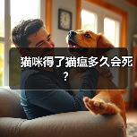 猫瘟热猫咪死亡时间及救治指南