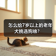 7岁以上老年犬挑选狗粮全攻略