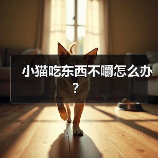 小猫吃东西不嚼怎么办?(图4) 猫咪吃饭不嚼怎么办?实用全攻略(图4)