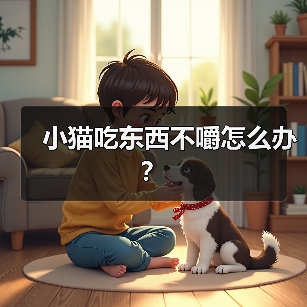 猫咪吃饭不嚼怎么办？实用全攻略