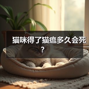 猫咪得了猫瘟多久会死?(图3) 猫瘟热猫咪死亡时间及救治指南(图3)