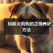 胰腺炎狗狗的正确养护方法全攻略(图4)