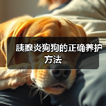 胰腺炎狗狗的正确养护方法全攻略
